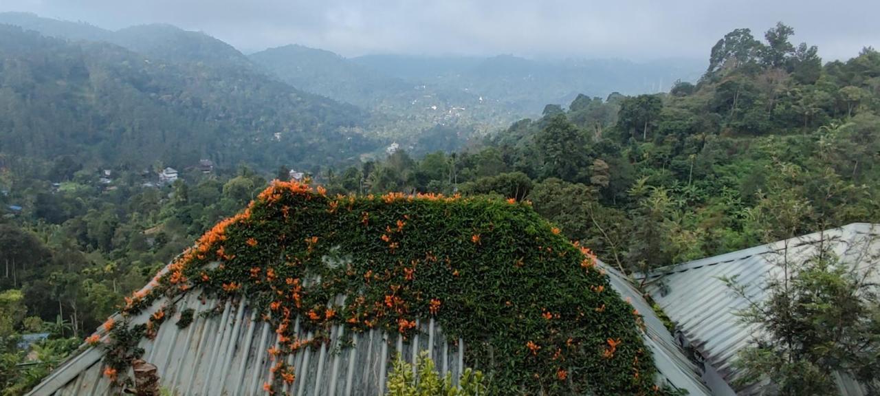 Munnar Tea Hills Resort - Mthr Luaran gambar