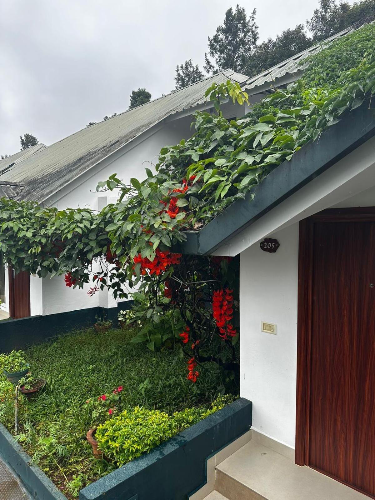 Munnar Tea Hills Resort - Mthr Luaran gambar