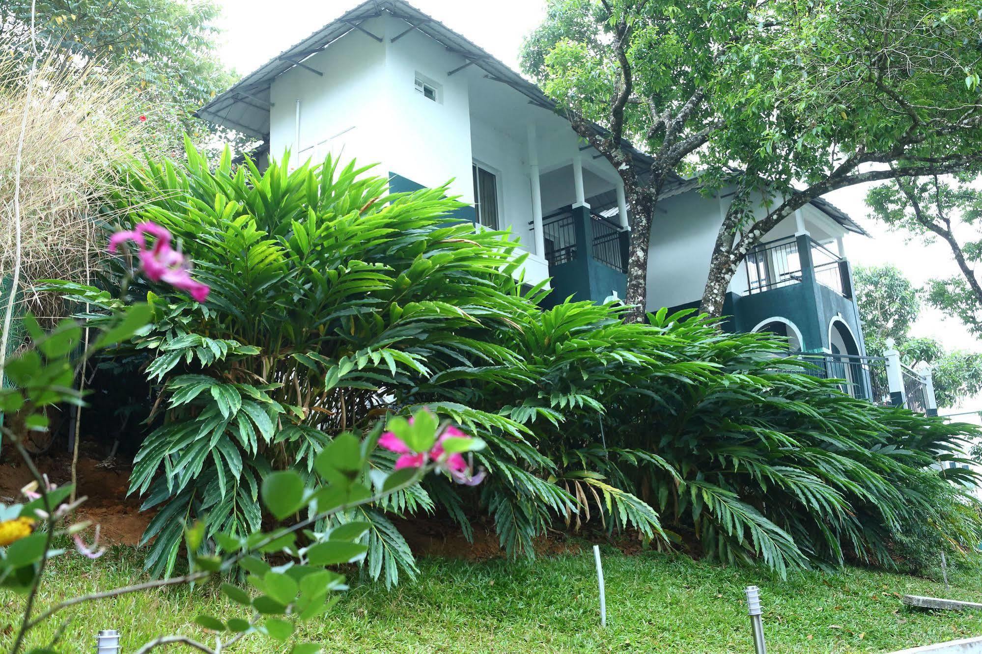 Munnar Tea Hills Resort - Mthr Luaran gambar